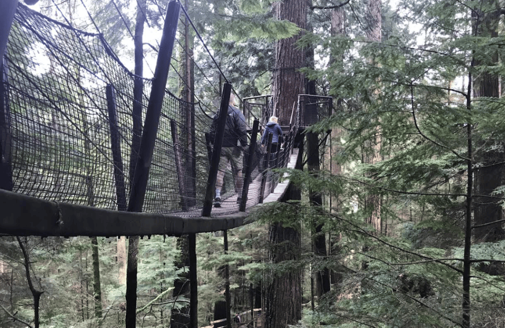 Capilano Suspension Bridge Park Guide